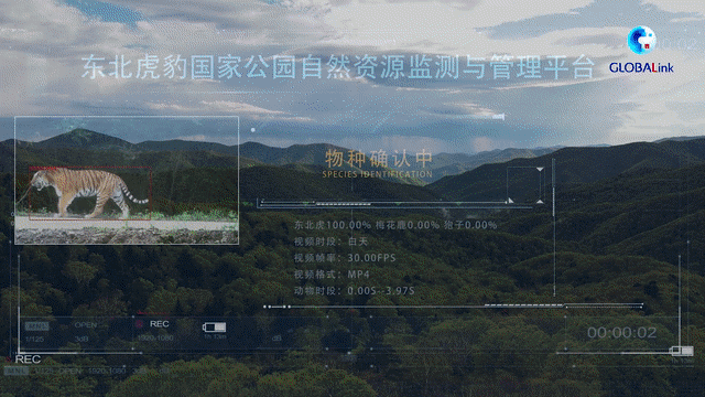 东北虎豹公园2025建成图片